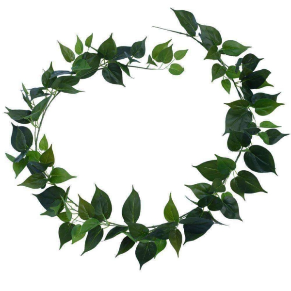 2-pack-artificial-money-plant-garland-190cm-634128.jpg