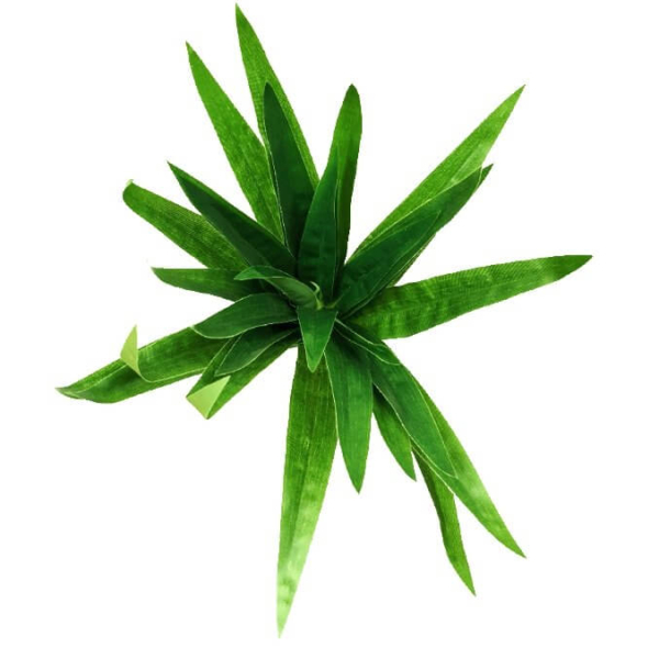 3-pack-aloe-vera-plant-stem-30cm-661007.jpg