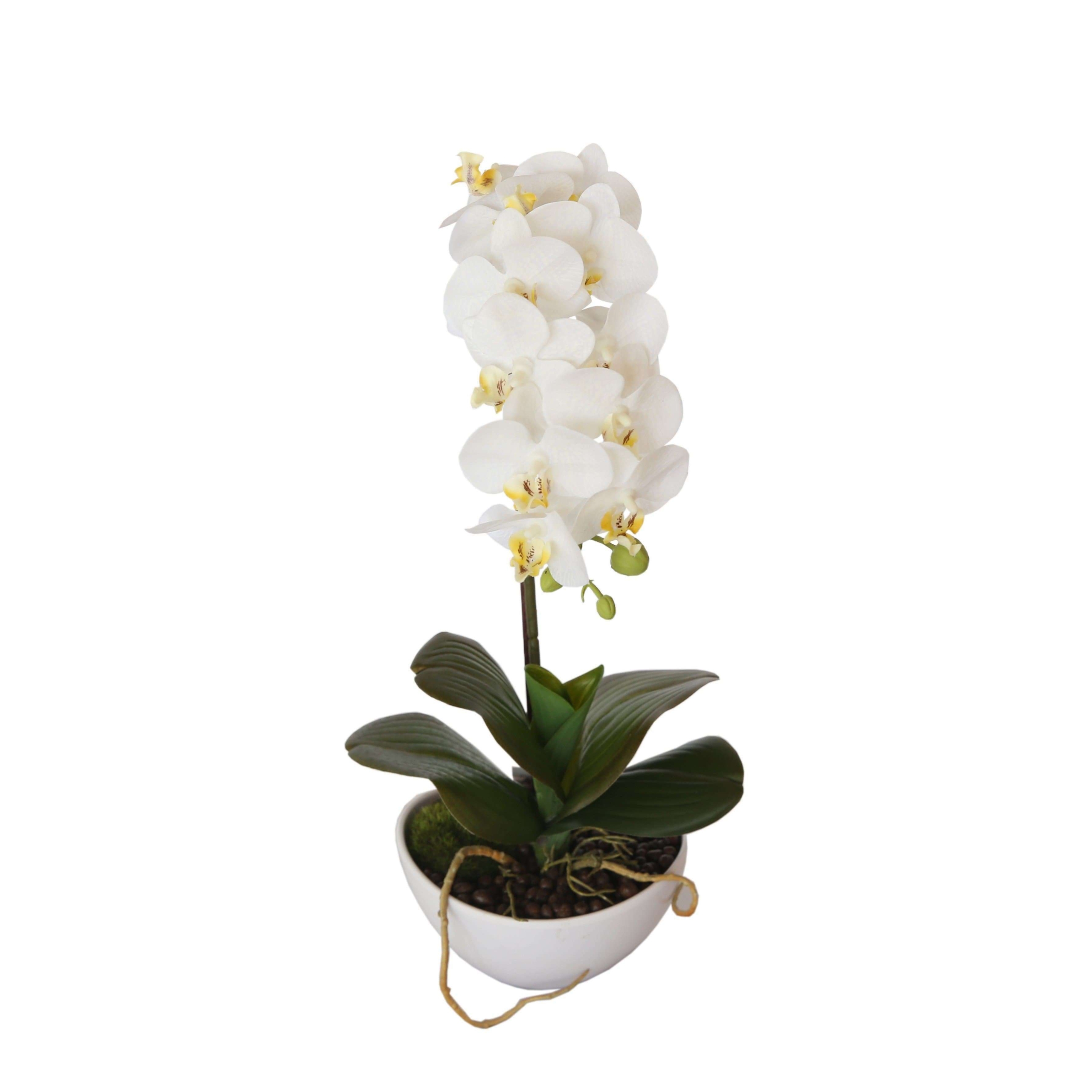 46cm-butterfly-artificial-potted-orchid-white-633736.jpg