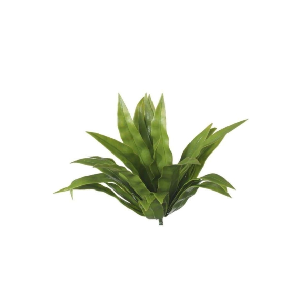 5-pack-uv-aloe-vera-stem-20cm-216116.jpg