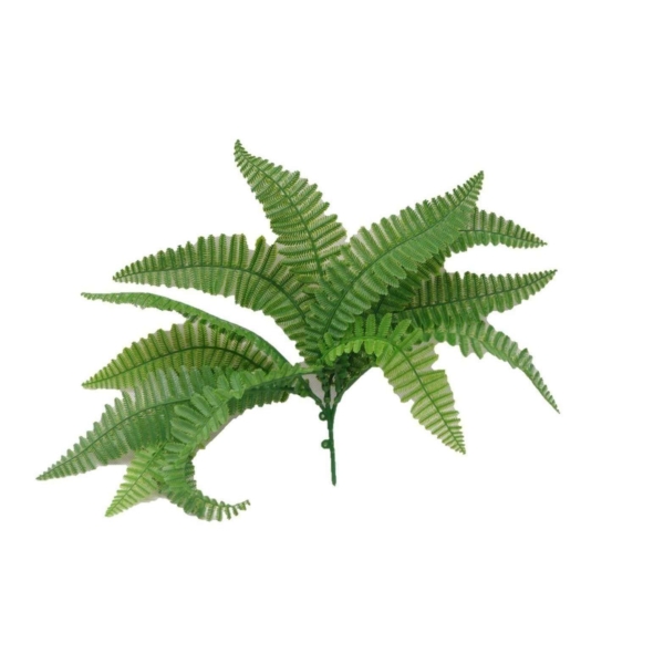 5-pack-uv-fern-stem-109363.jpg