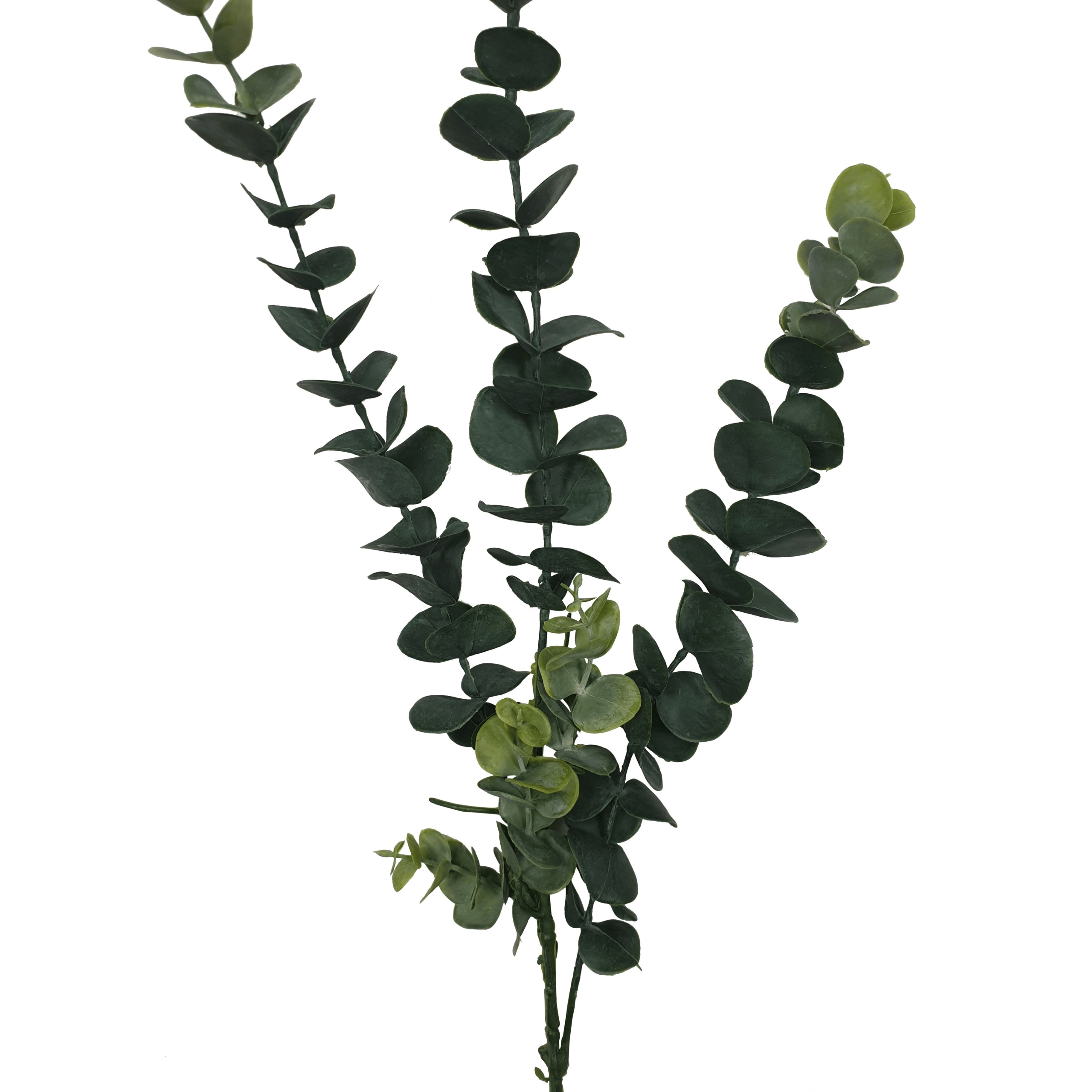 5packs-long-eucalyptus-stem-77-cm-713416-1.jpg