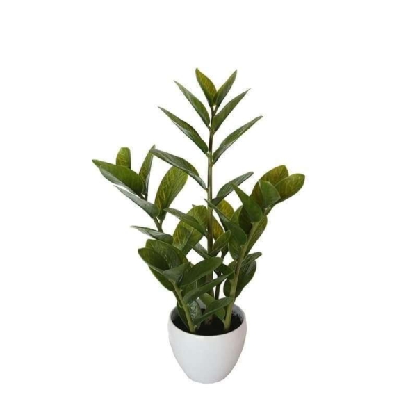 60cm-potted-faux-zanzibar-340422.jpg