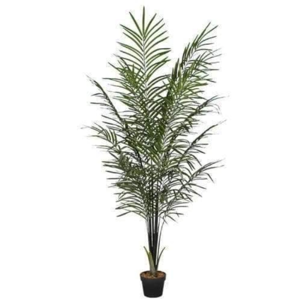 artificial-areca-palm-black-trunks-190cm-746245.jpg