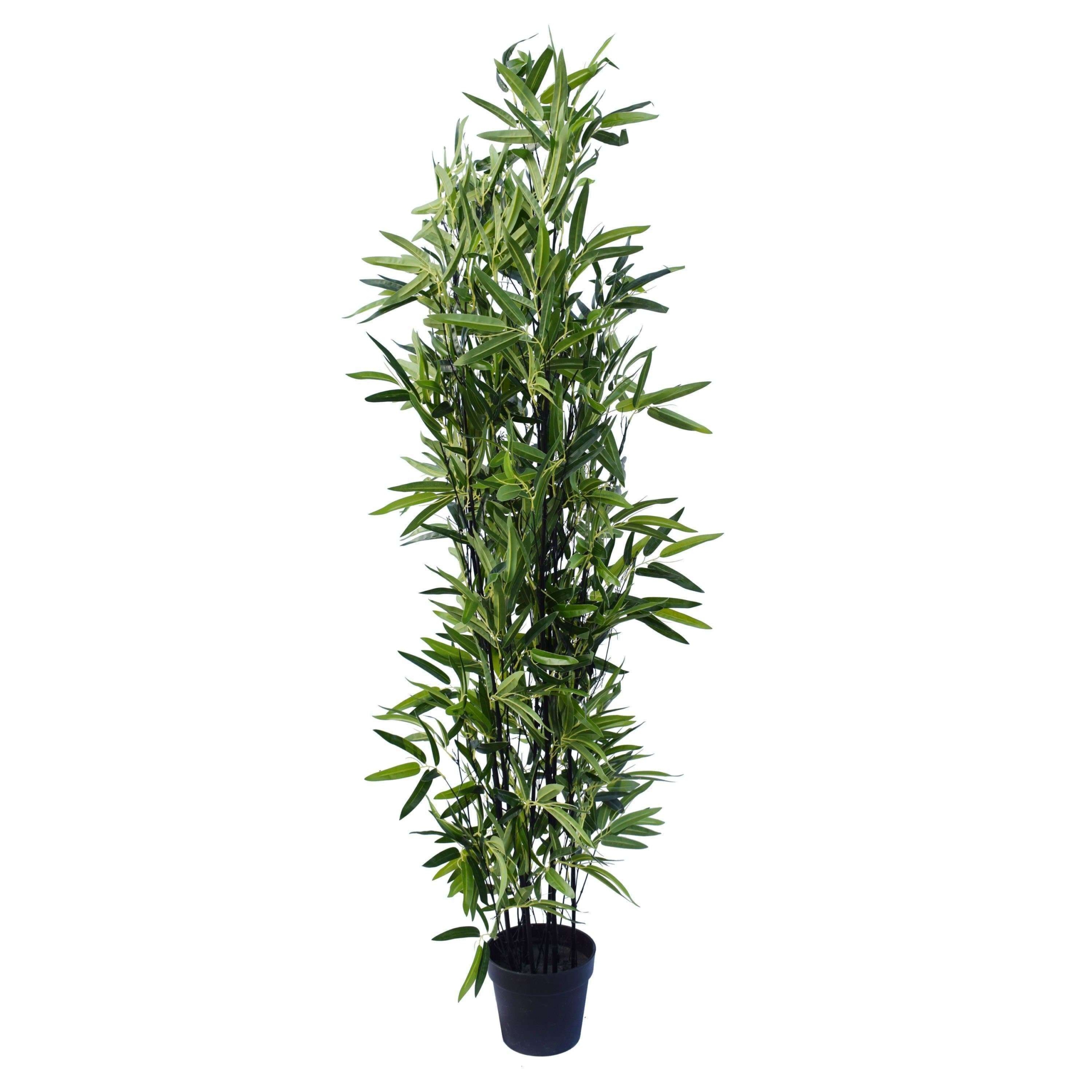 artificial-bamboo-plant-black-bamboo-180cm-real-touch-leaves-500791.jpg