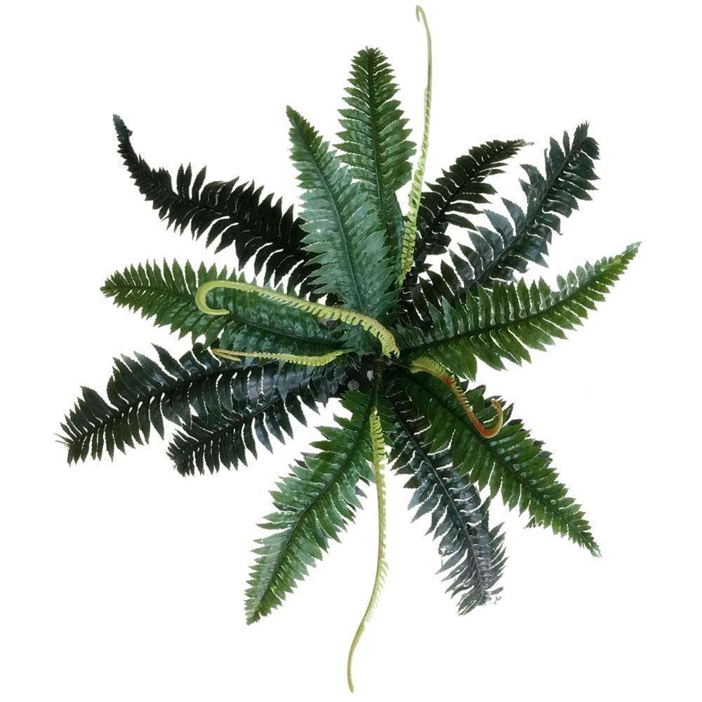 artificial-dark-green-boston-fern-60cm-331613.jpg