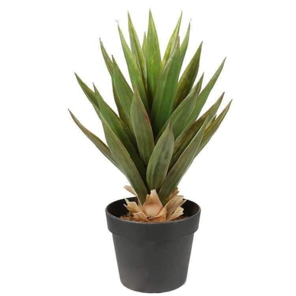 artificial-dense-potted-aloe-vera-plant-50cm-997958.jpg