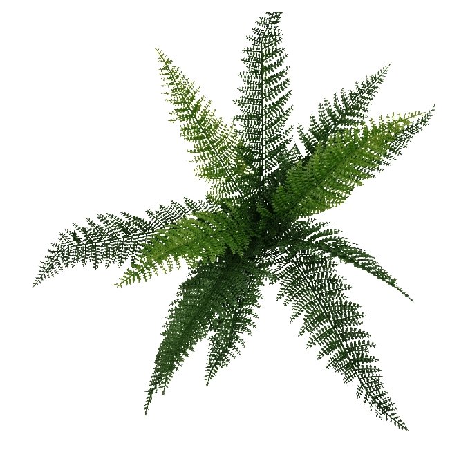 artificial-draping-fern-stem-45cm-275589.jpg