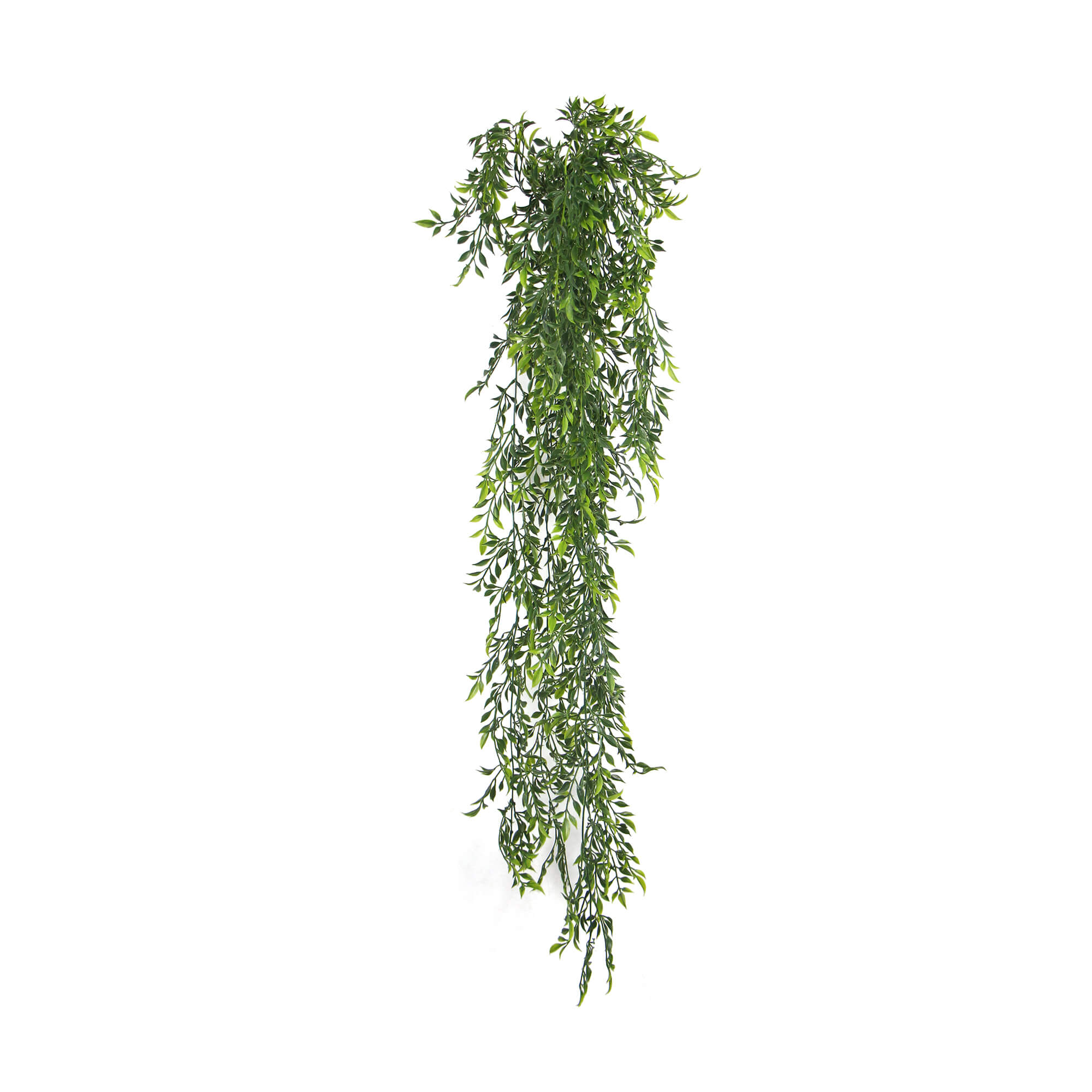 artificial-hanging-flowering-ruscus-leaf-plant-uv-resistant-130cm-461734.jpg