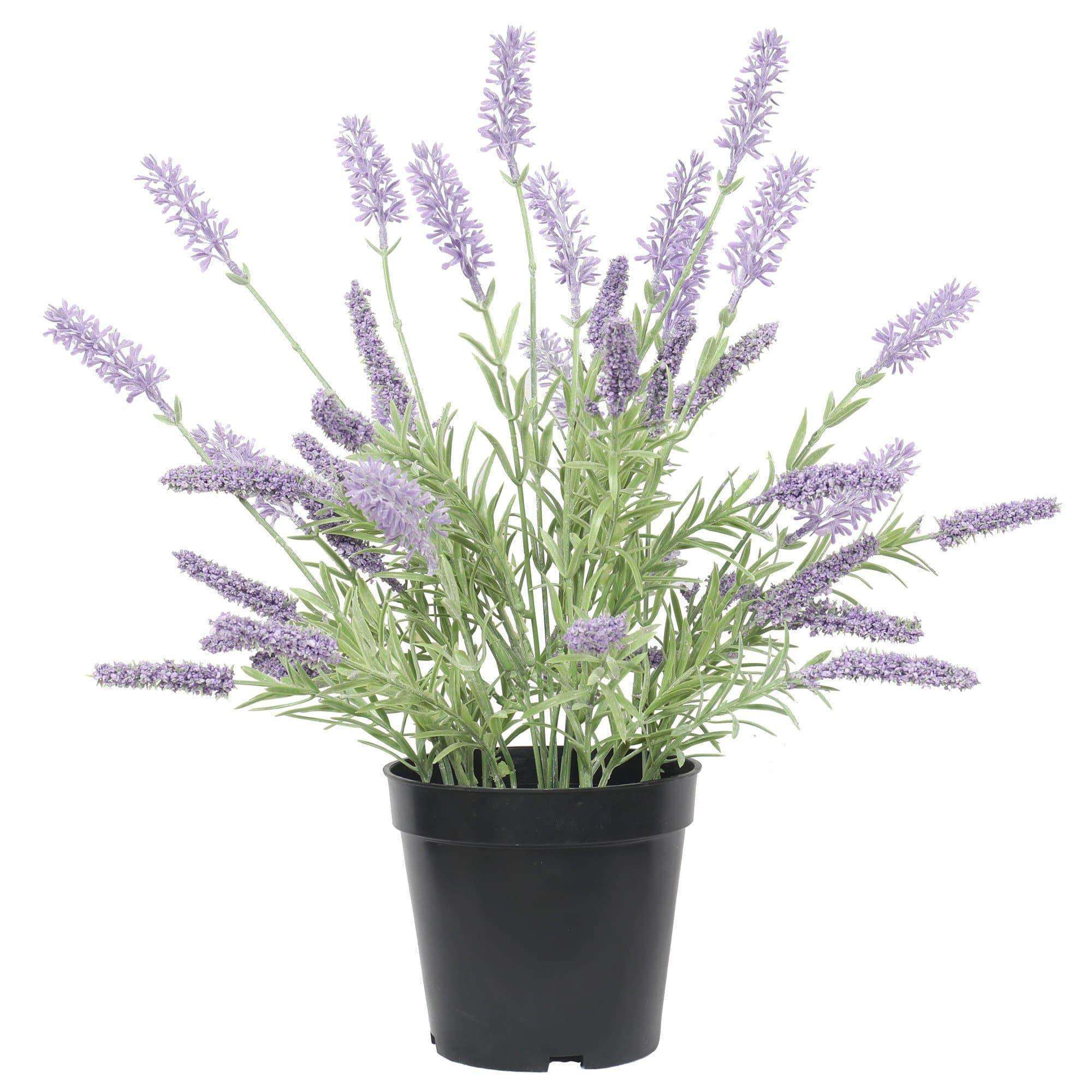 artificial-lavender-plant-in-a-pot-40cm-488985.jpg