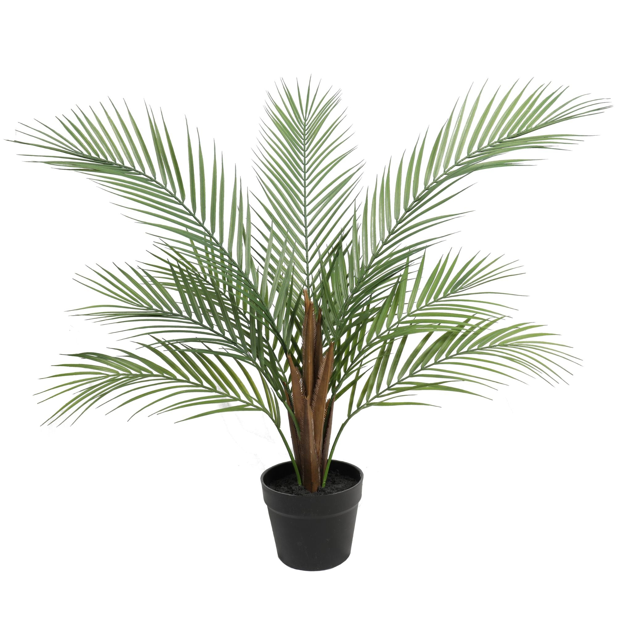 artificial-phoenix-palm-plant-80cm-540880.jpg