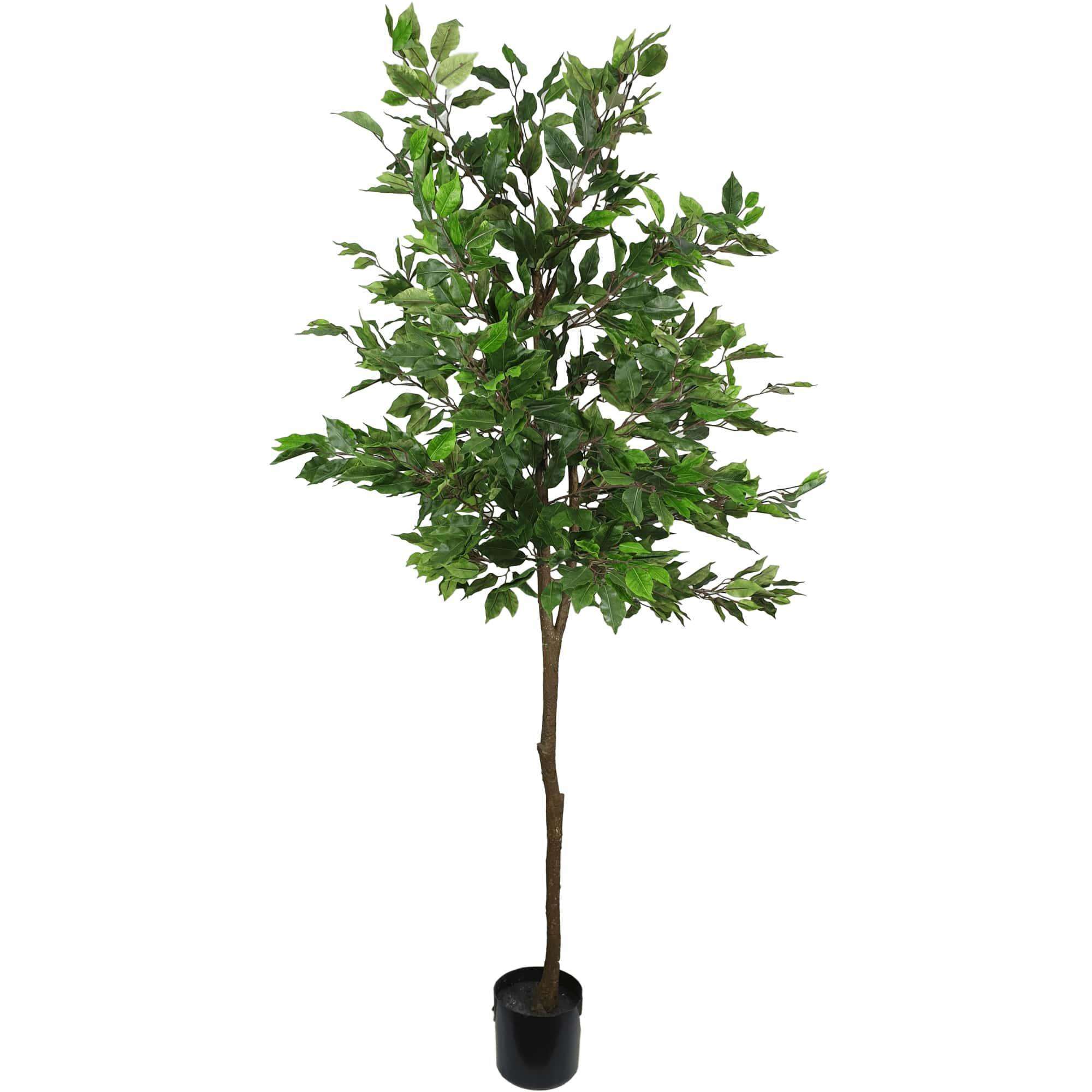 artificial-potted-ficus-tree-160cm-422565.jpg