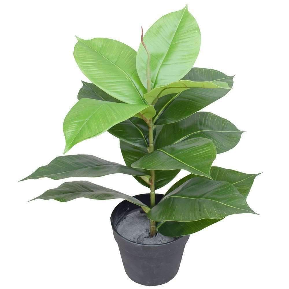 artificial-potted-rubber-plant-55-cm-974085.jpg