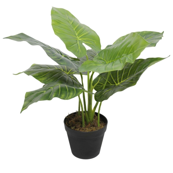 artificial-potted-taro-plant-elephant-ear-55cm-823389.jpg
