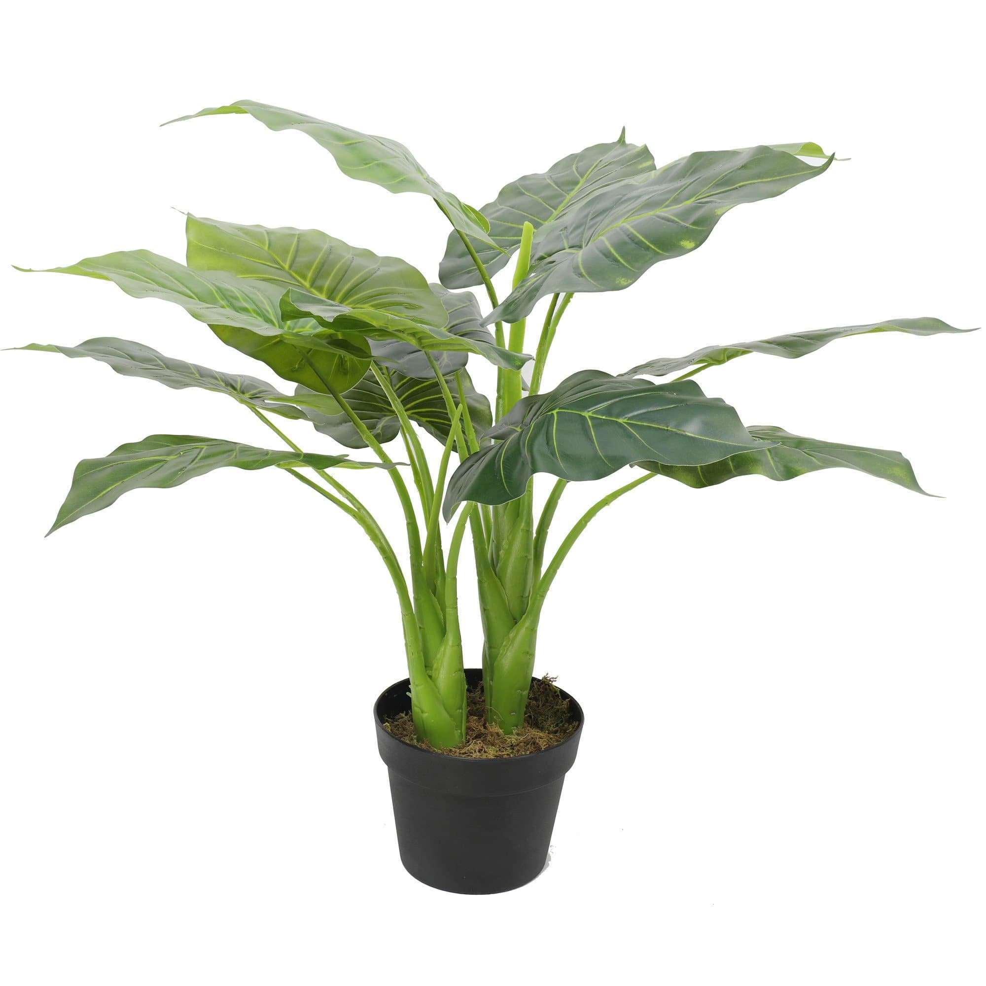 artificial-potted-taro-plant-elephant-ear-70cm-598645.jpg