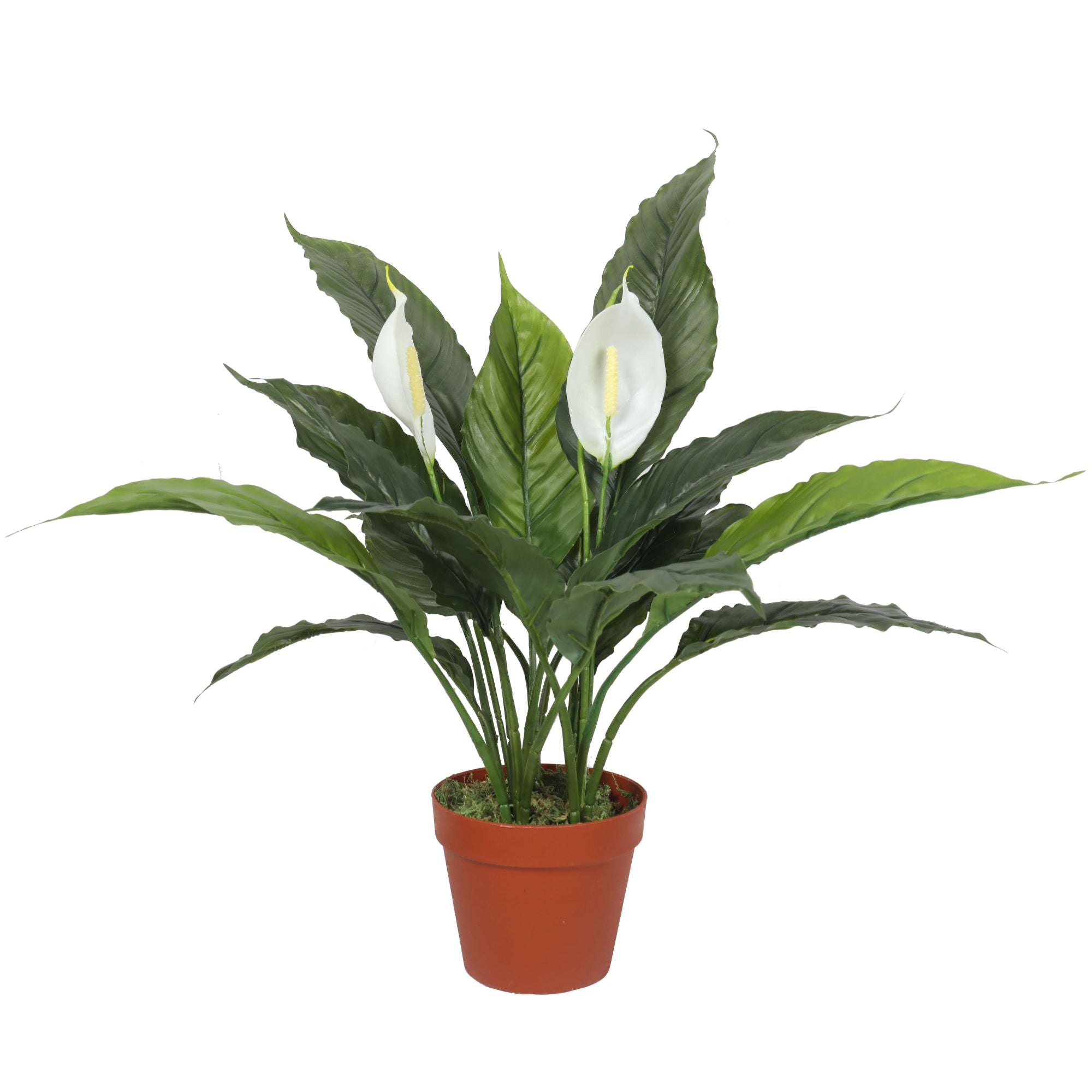 artificial-spathiphyllum-peace-lily-plant-with-white-flowers-60cm-471199.jpg