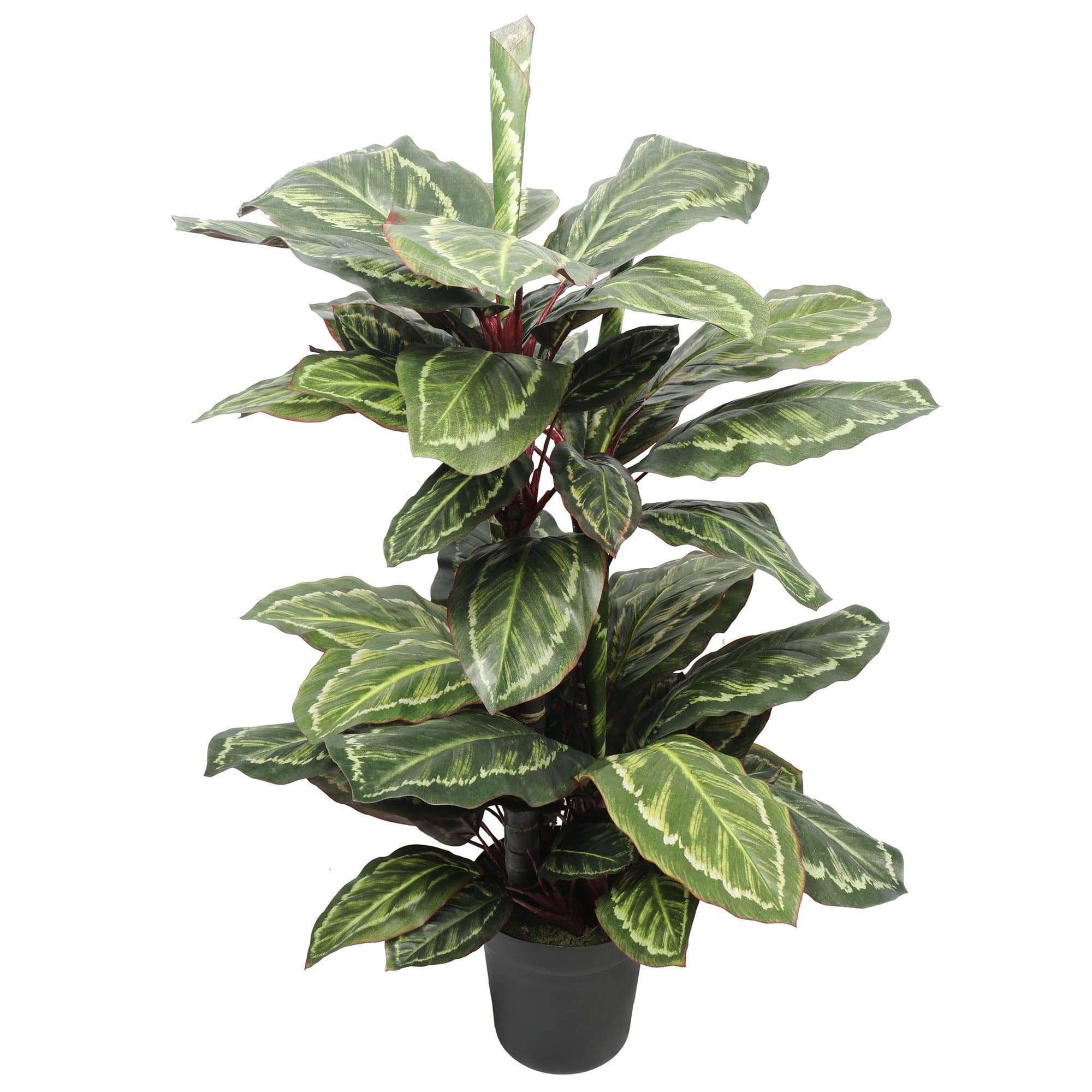 artificial-wide-leaf-cordyline-plant-90cm-497113.jpg