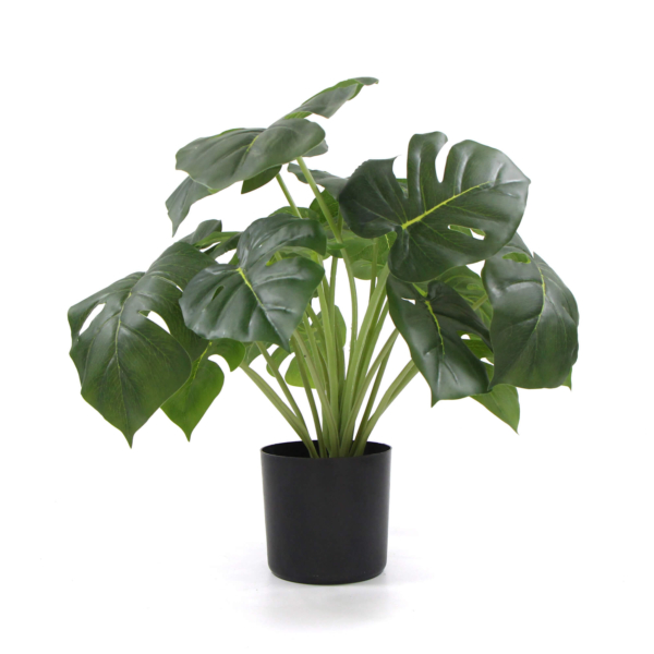 dense-potted-artificial-split-philodendron-plant-with-real-touch-leaves-50cm-199671.jpg