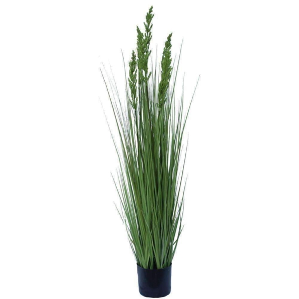 flowering-native-grass-120cm-441644.jpg