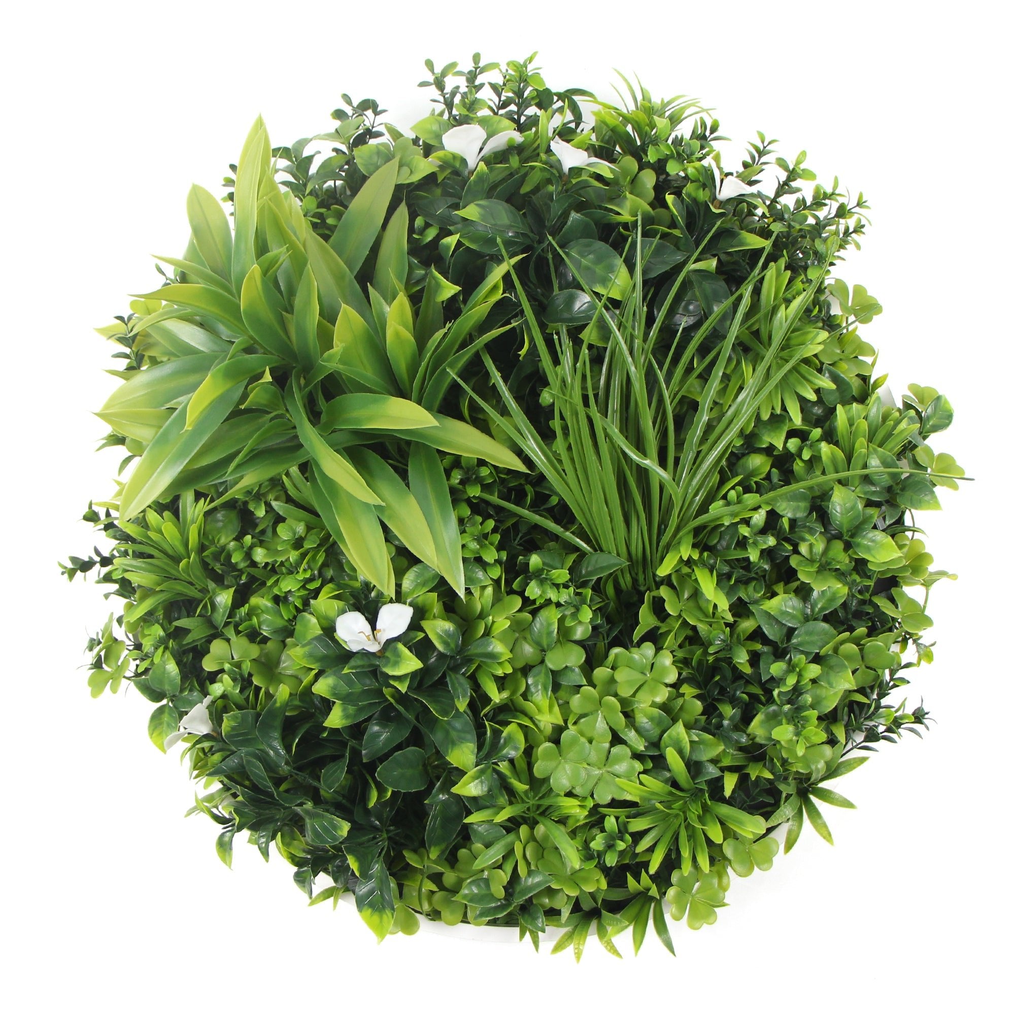flowering-white-artificial-green-wall-disc-uv-resistant-75cm-black-frame-814397-1.jpg