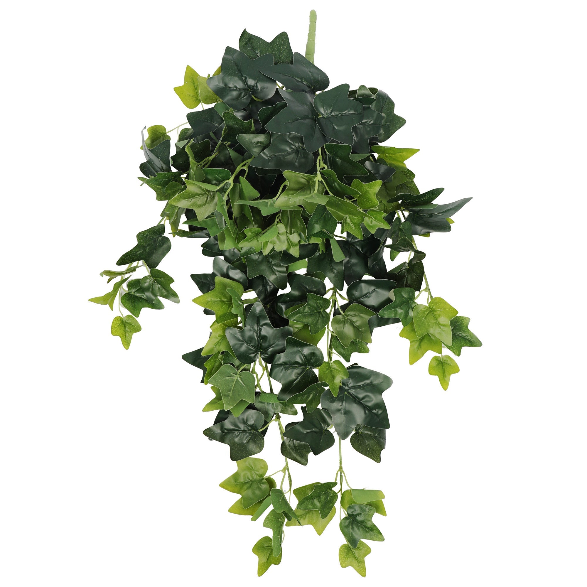 hanging-green-ivy-bush-80cm-530788.jpg