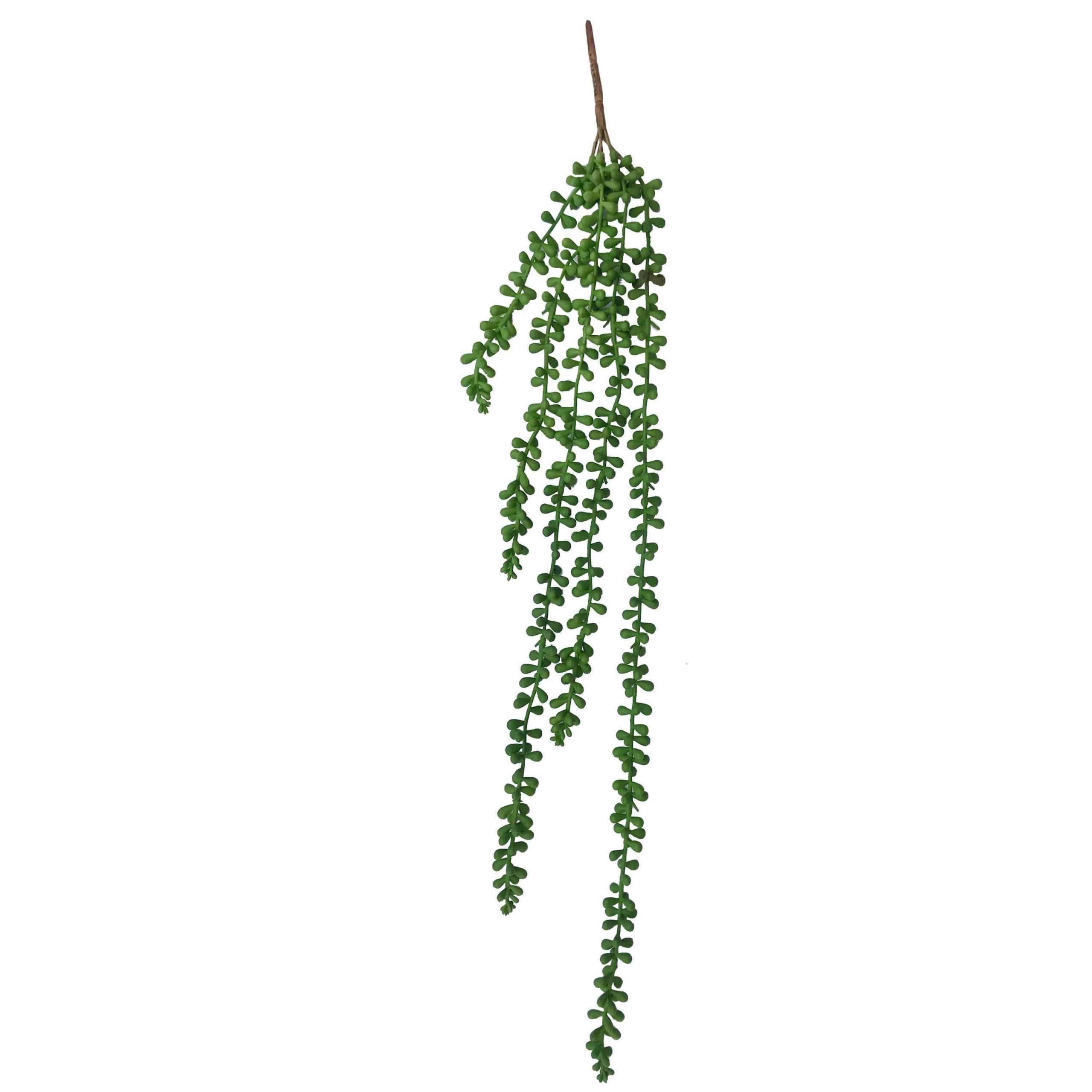 hanging-succulent-string-of-pearl-beads-75cm-745923.jpg