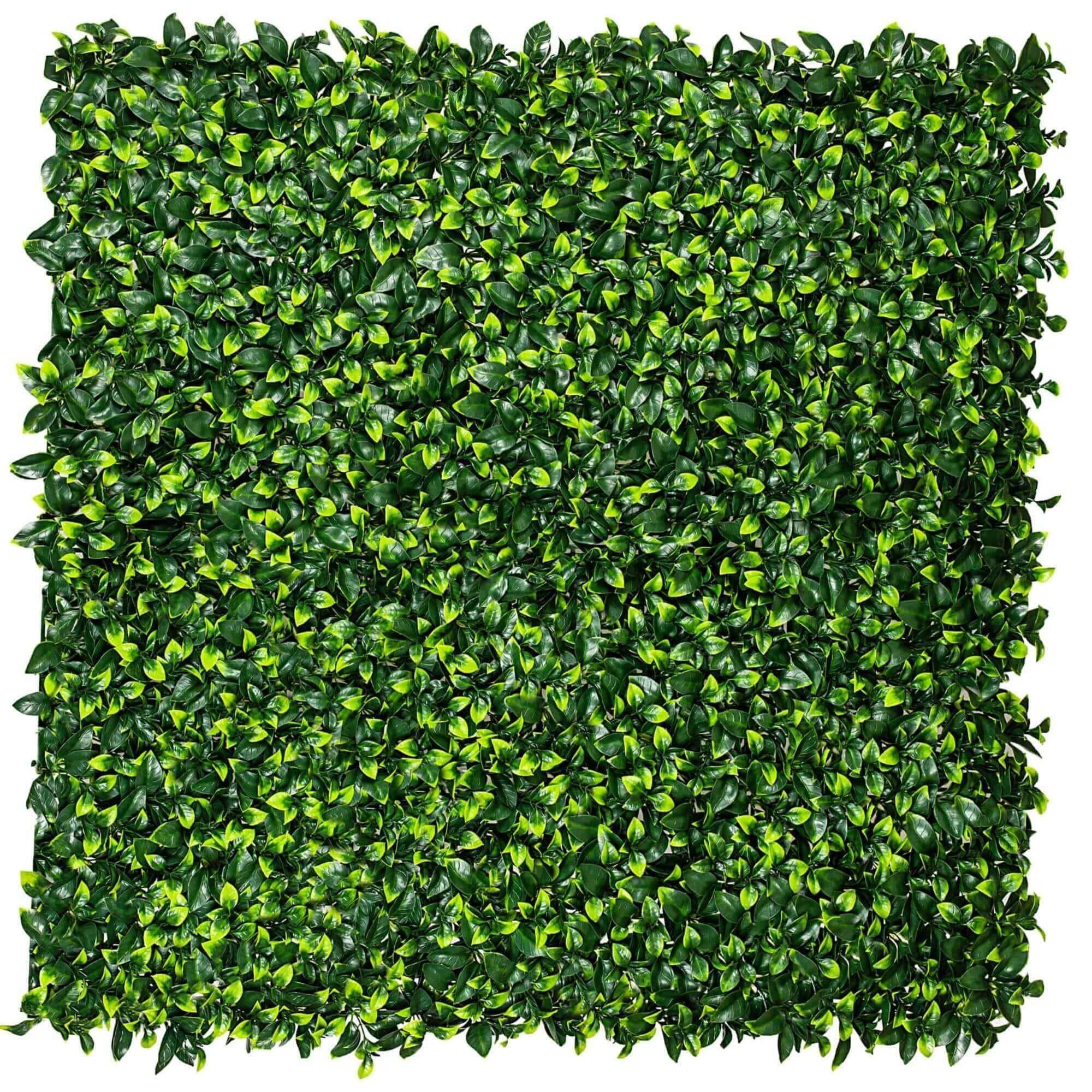 jasmine-artificial-hedge-screen-green-wall-panel-uv-resistant-100cm-x-100cm-uv-resistant-643399.jpg