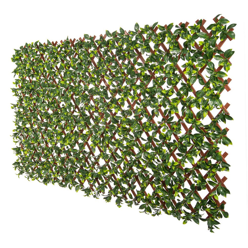 jasmine-artifiical-hedge-extendable-trellis-screen-2-meter-by-1-meter-uv-resistant-pvc-259263.jpg