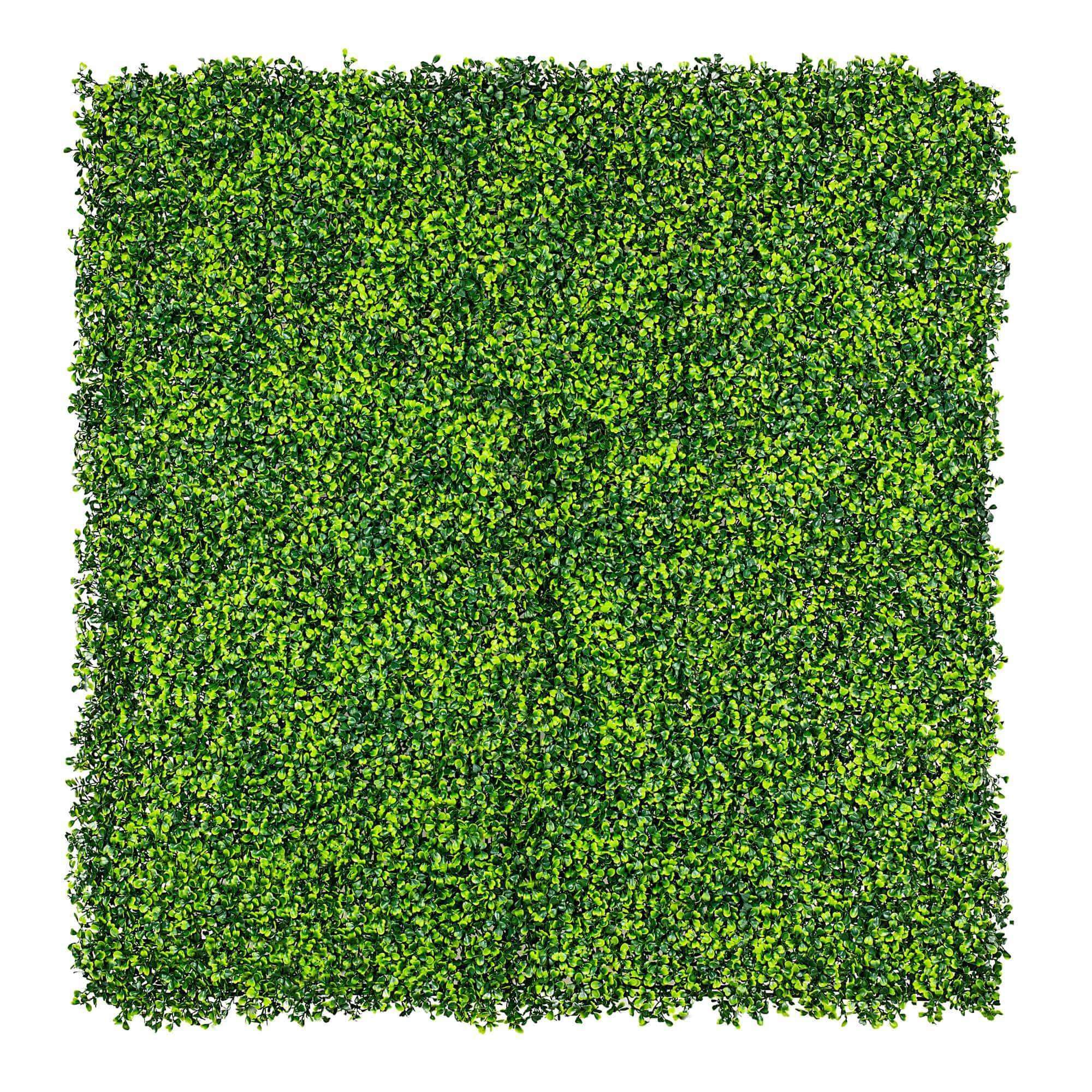 light-english-artificial-boxwood-hedge-panel-fake-green-wall-1m-x-1m-uv-resistant-934809.jpg
