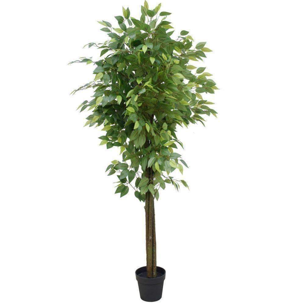 mixed-green-bushy-artificial-ficus-tree-180cm-253727.jpg
