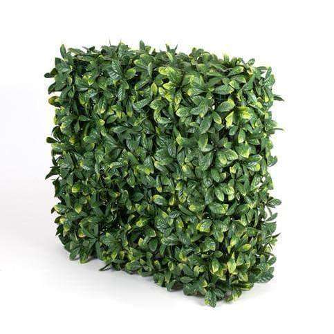 portable-lemon-leaf-artificial-hedge-uv-stabilised-75cm-x-75cm-165312.jpg