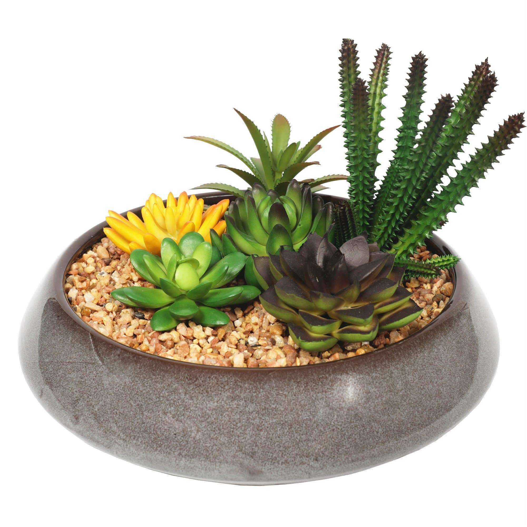 potted-artificial-succulents-with-round-decorative-bowl-19cm-572863.jpg