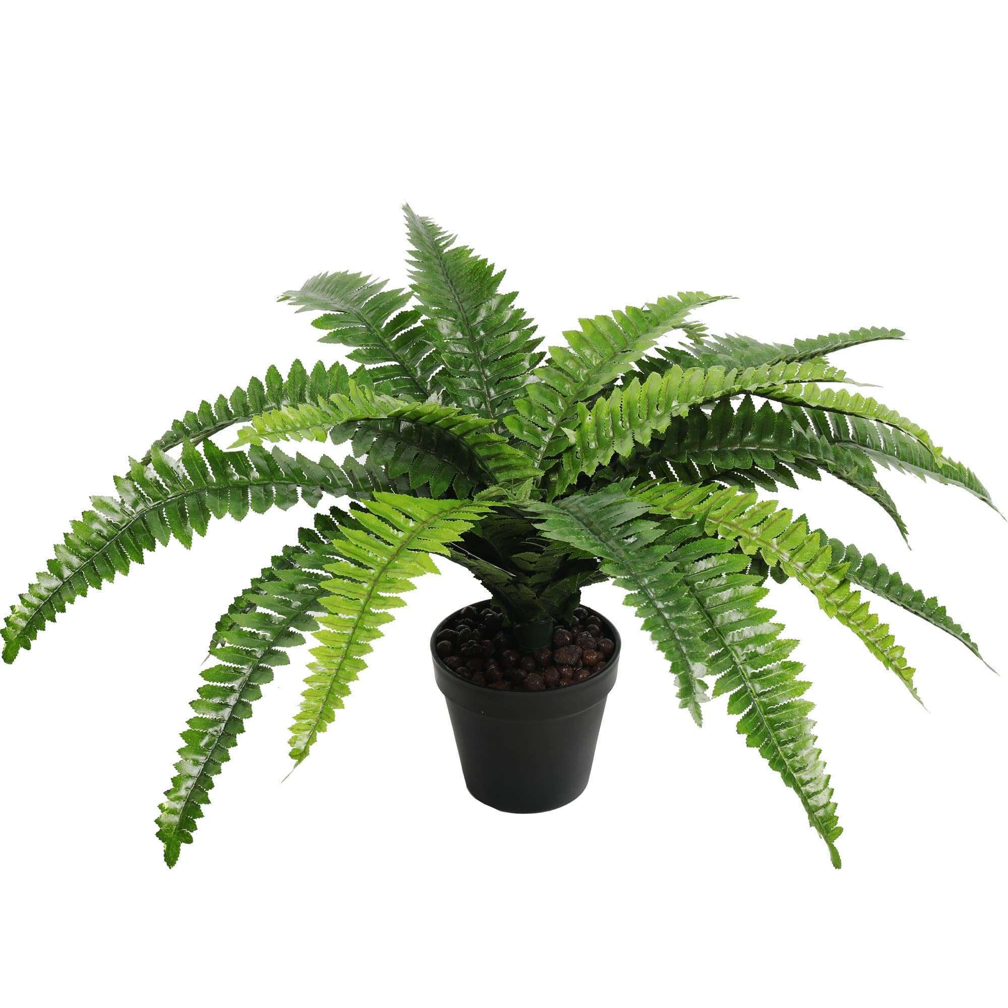 potted-natural-green-artificial-boston-fern-50cm-high-70cm-wide-183175.jpg