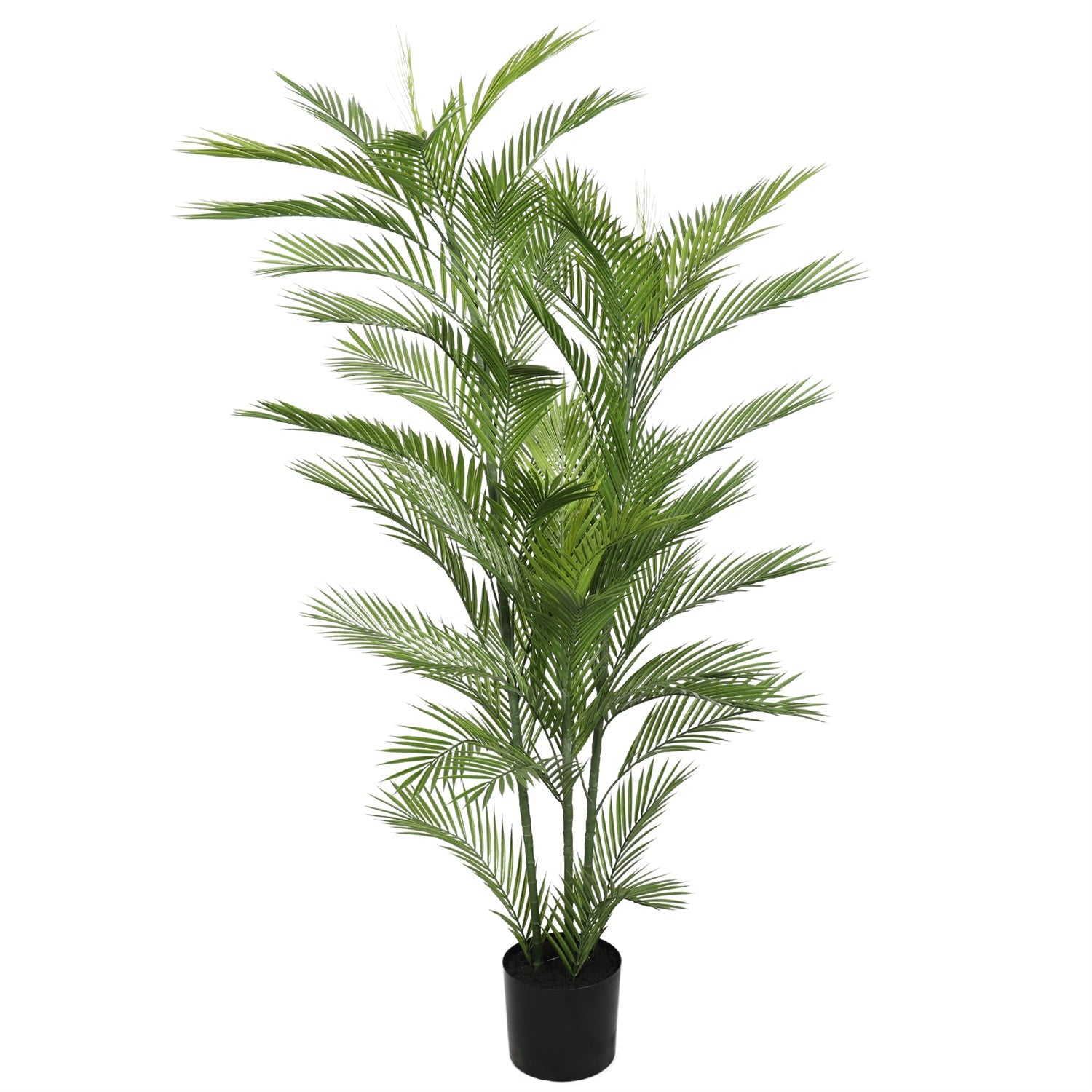 real-touch-artificial-phoenix-palm-tree-uv-resistant-180cm-288419.jpg