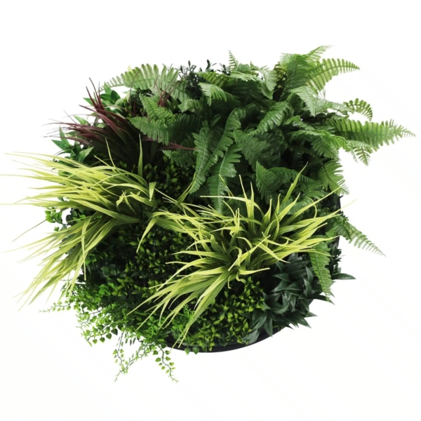 slimline-artificial-green-wall-disc-art-50cm-grassy-fern-fields-uv-resistant-black-901923.jpg