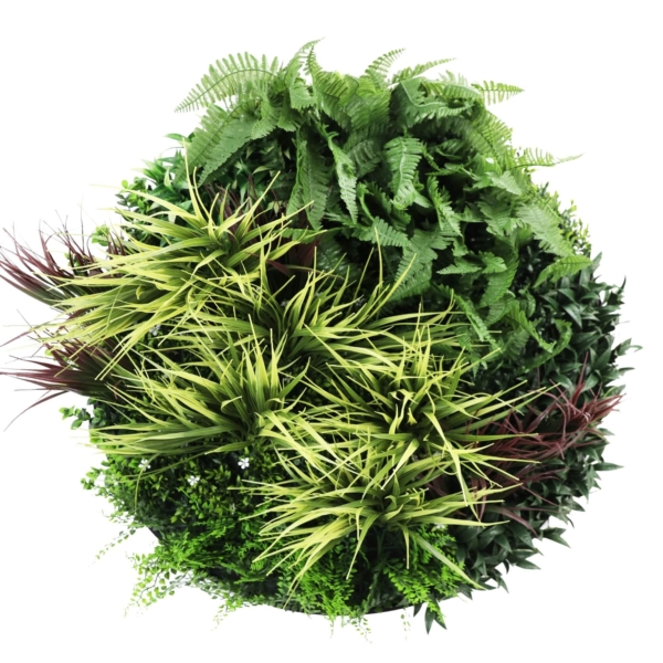 slimline-artificial-green-wall-disc-art-80cm-grassy-fern-uv-resistant-black-979364.jpg