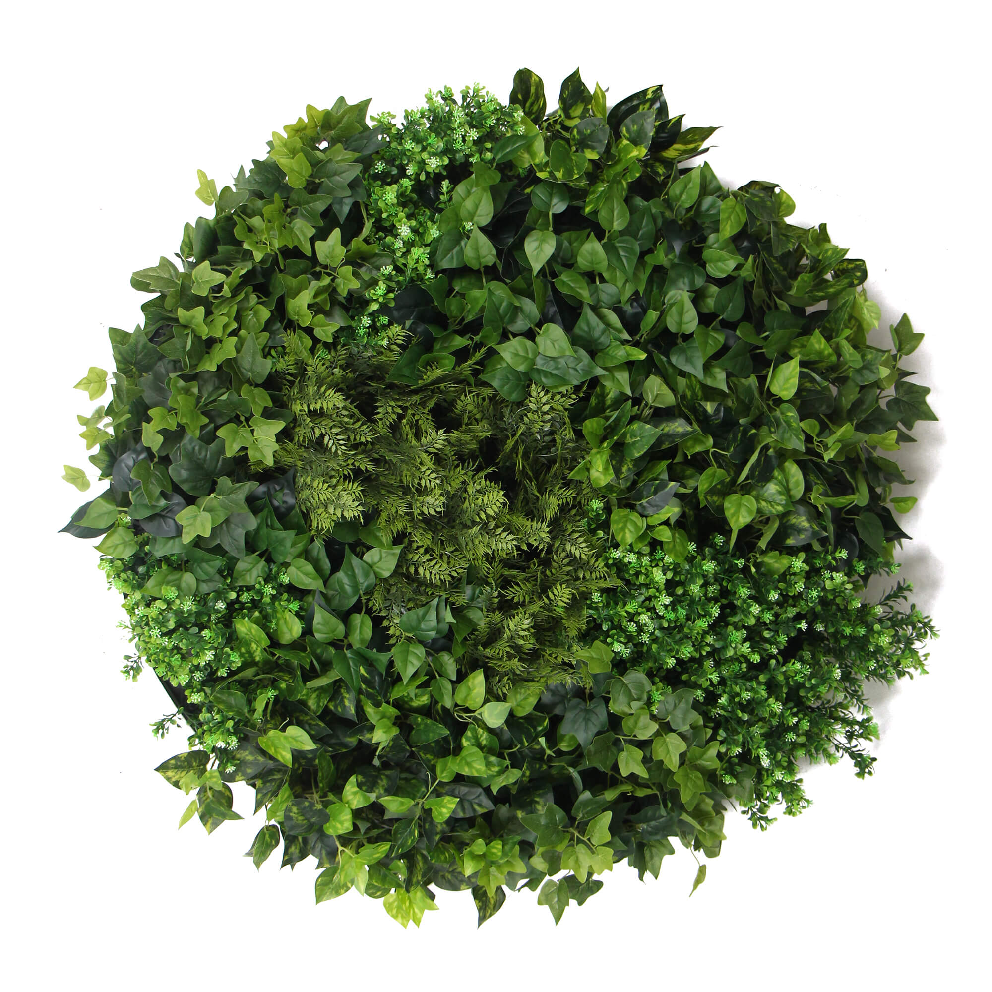 slimline-artificial-green-wall-disc-art-90cm-mixed-green-fern-fresh-white-265732.jpg