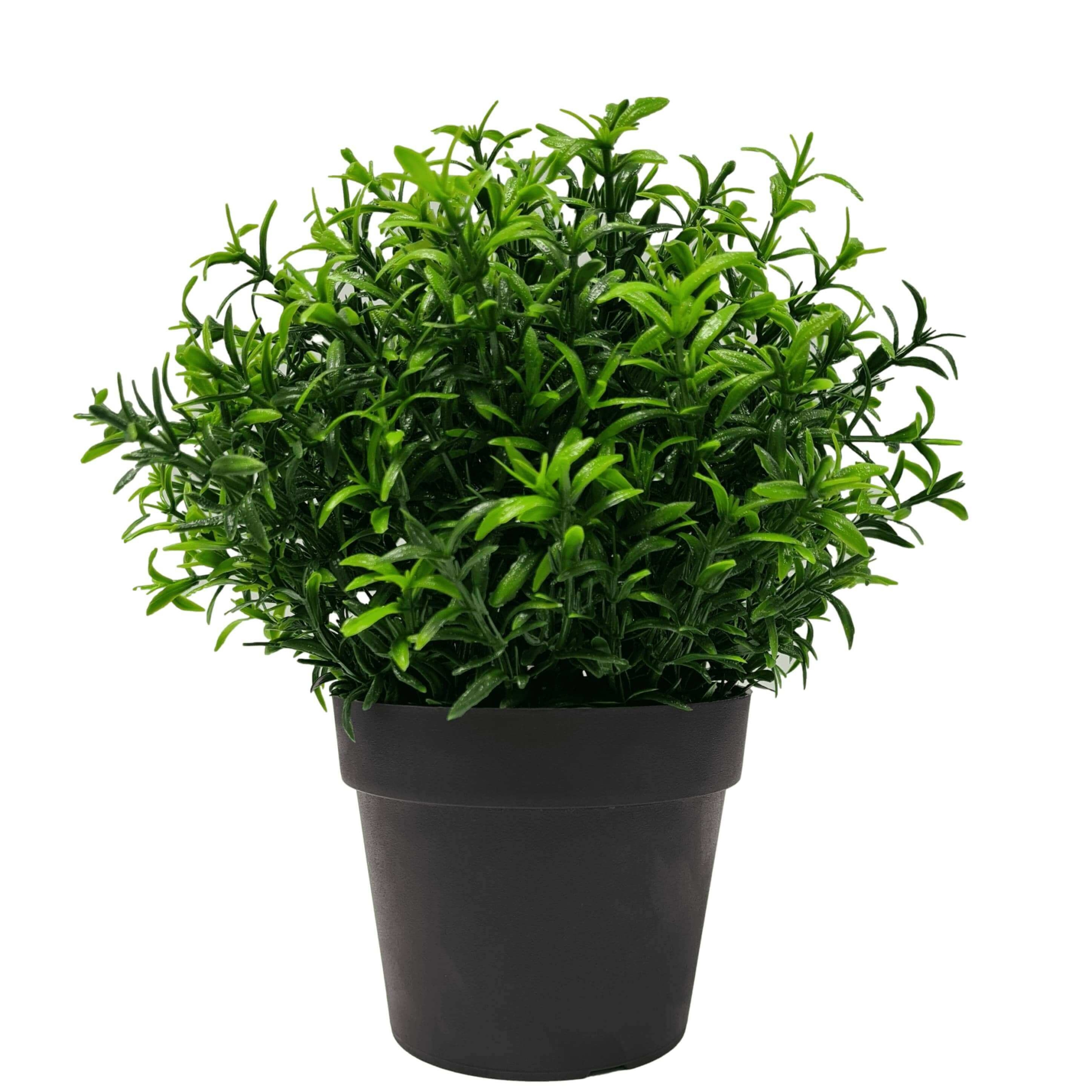 small-potted-artificial-bright-rosemary-herb-plant-uv-resistant-20cm-121673.jpg