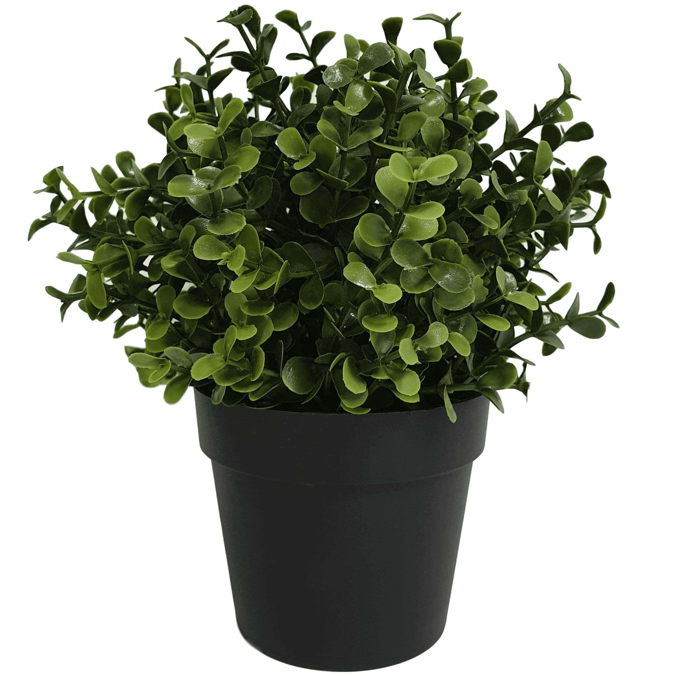 small-potted-artificial-buxus-plant-uv-resistant-20cm-234535.jpg