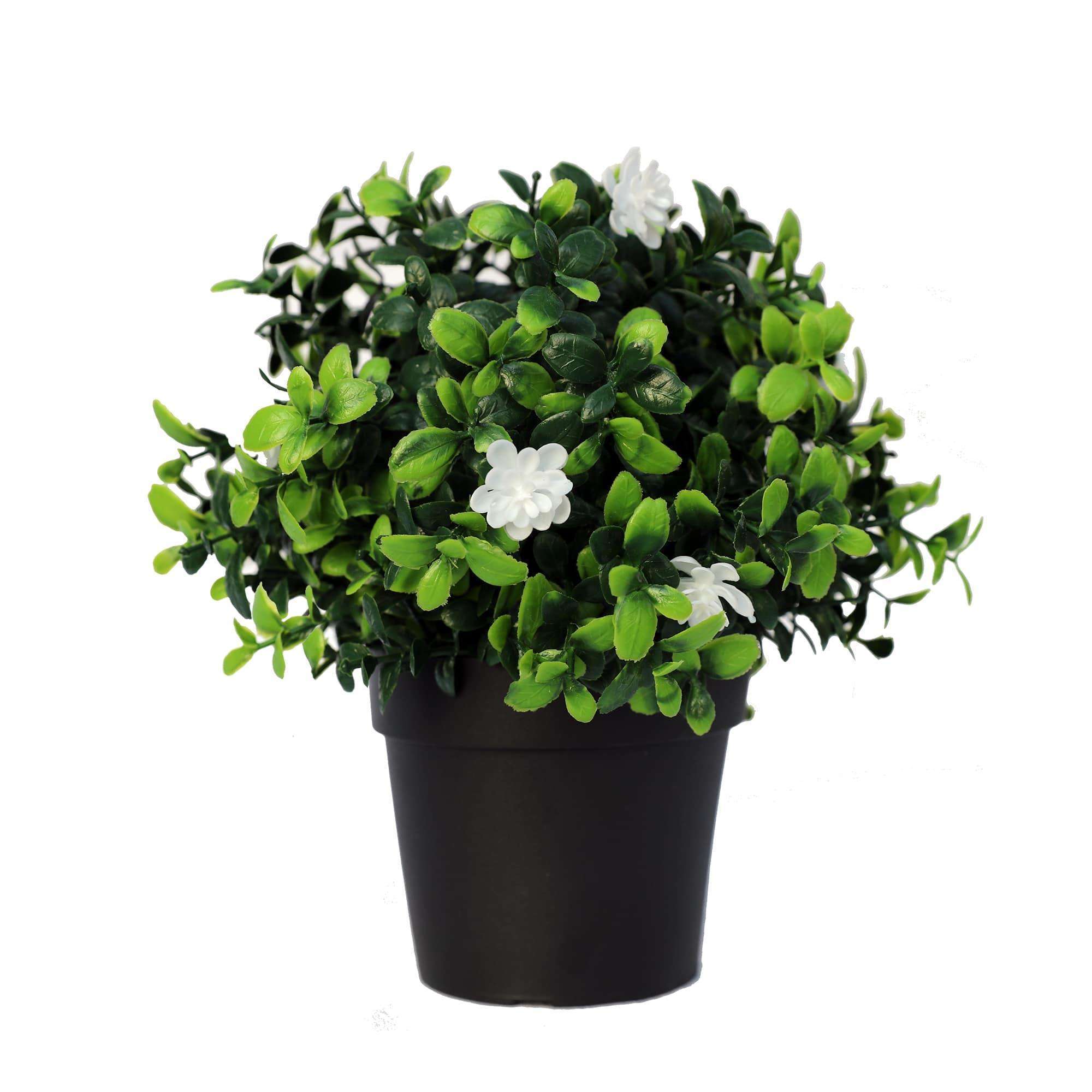 small-potted-artificial-flowering-boxwood-plant-uv-resistant-20cm-448491.jpg