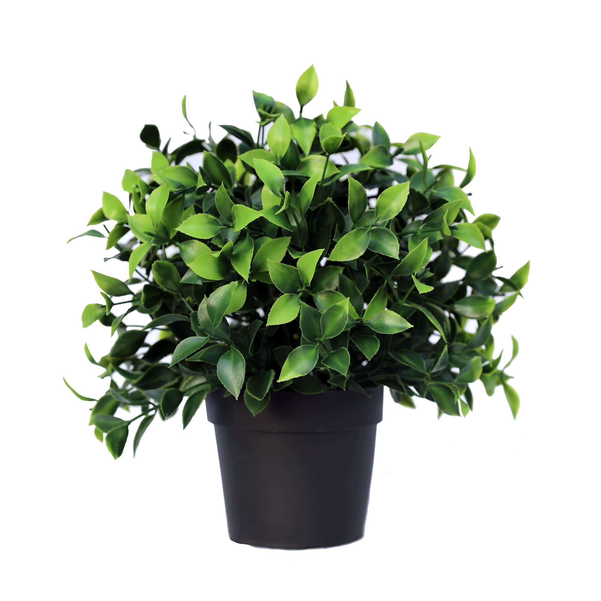 small-potted-artificial-jasmine-plant-uv-resistant-20cm-434889.jpg
