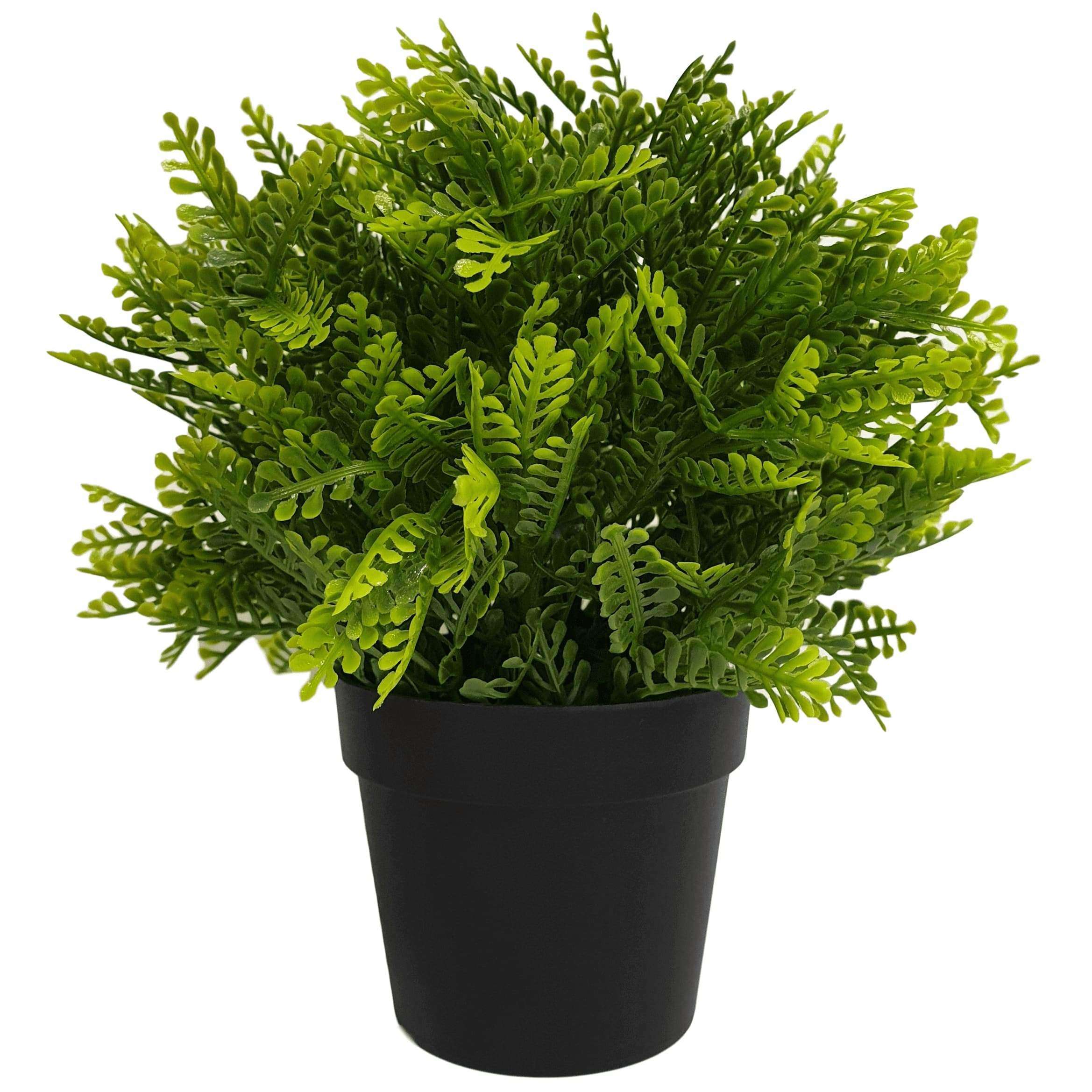 small-potted-artificial-mimosa-fern-uv-resistant-20cm-719080.jpg