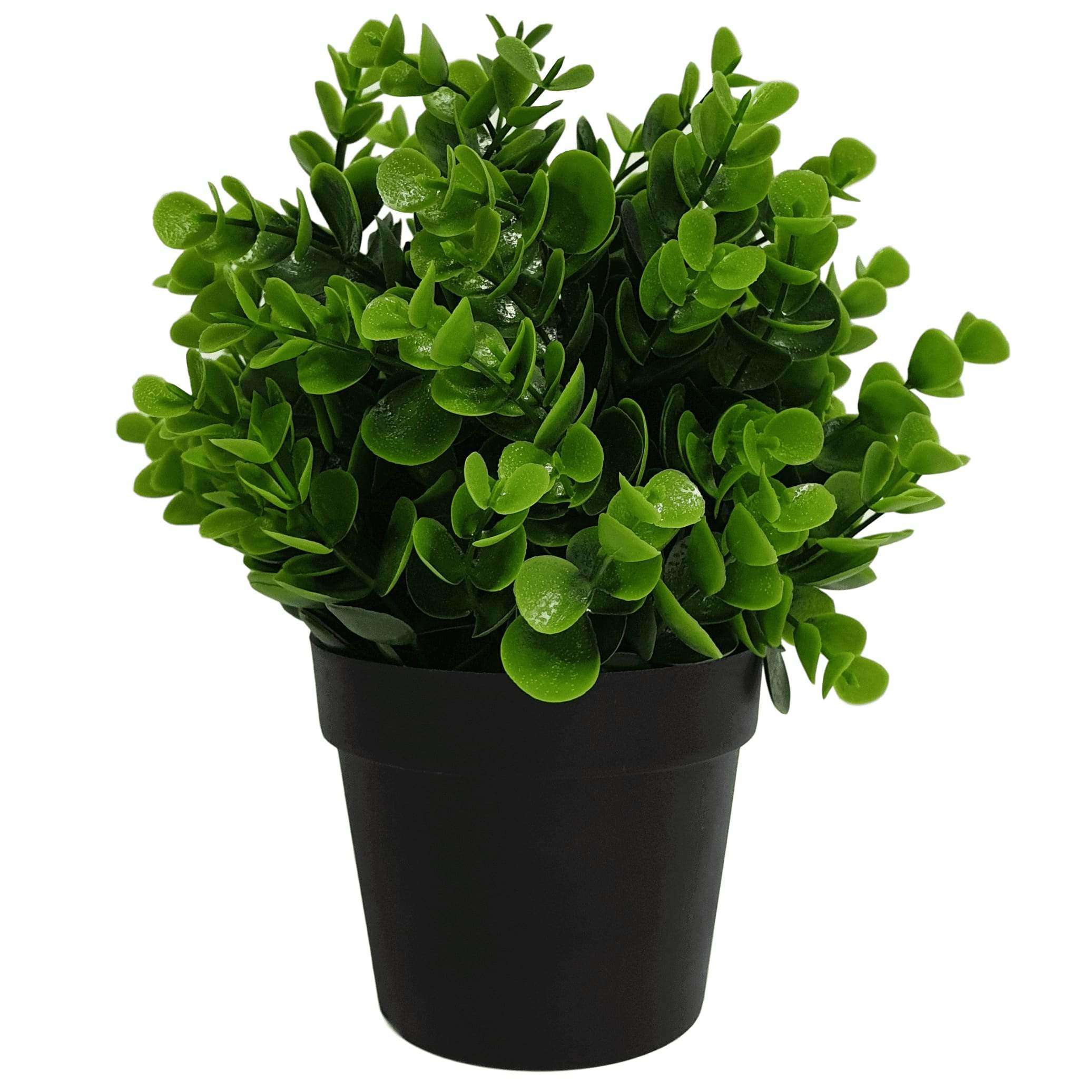 small-potted-artificial-peperomia-plant-uv-resistant-20cm-641153.jpg