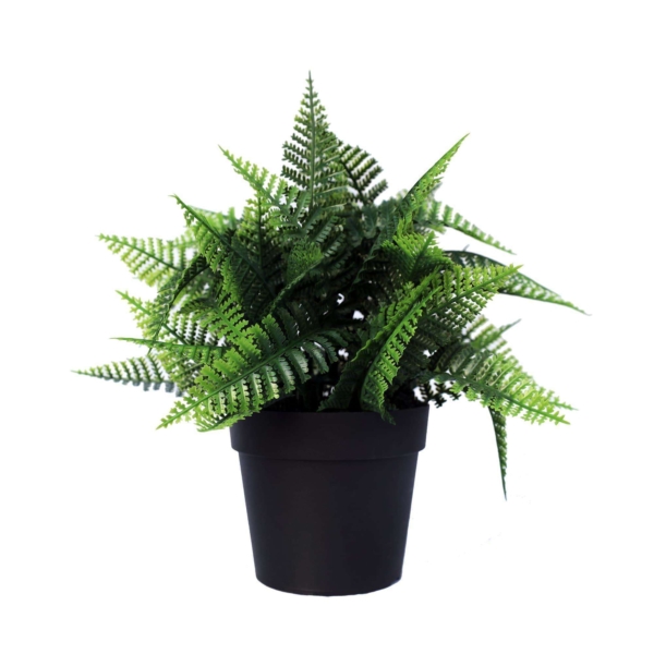 small-potted-artificial-persa-boston-fern-plant-uv-resistant-20cm-779731.jpg