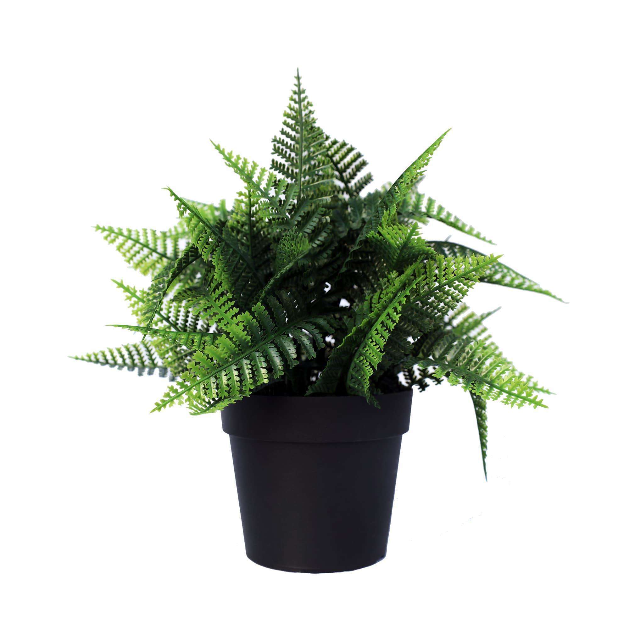 small-potted-artificial-persa-boston-fern-plant-uv-resistant-20cm-779731.jpg