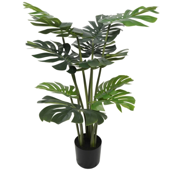 split-philodendron-split-leaf-120cm-386260.jpg