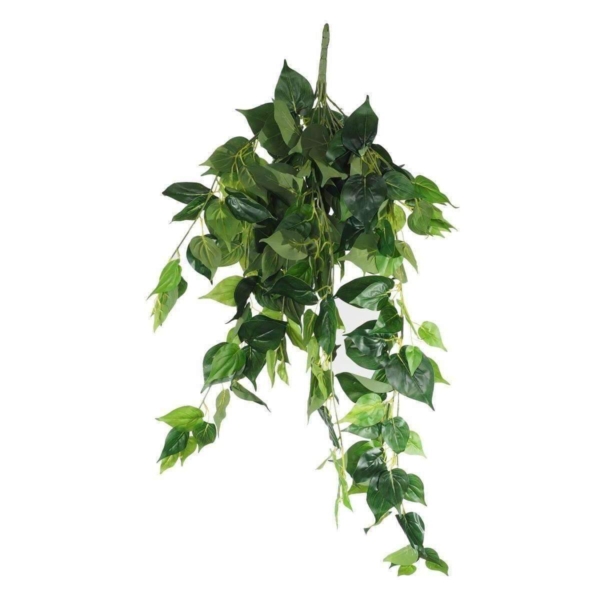 uv-hanging-philodendron-bush-100cm-681024.jpg