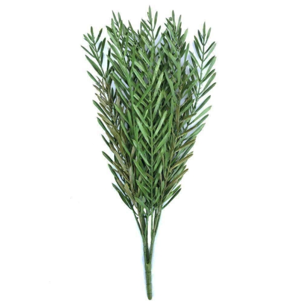 uv-native-tea-tree-stem-45cm-829700.jpg