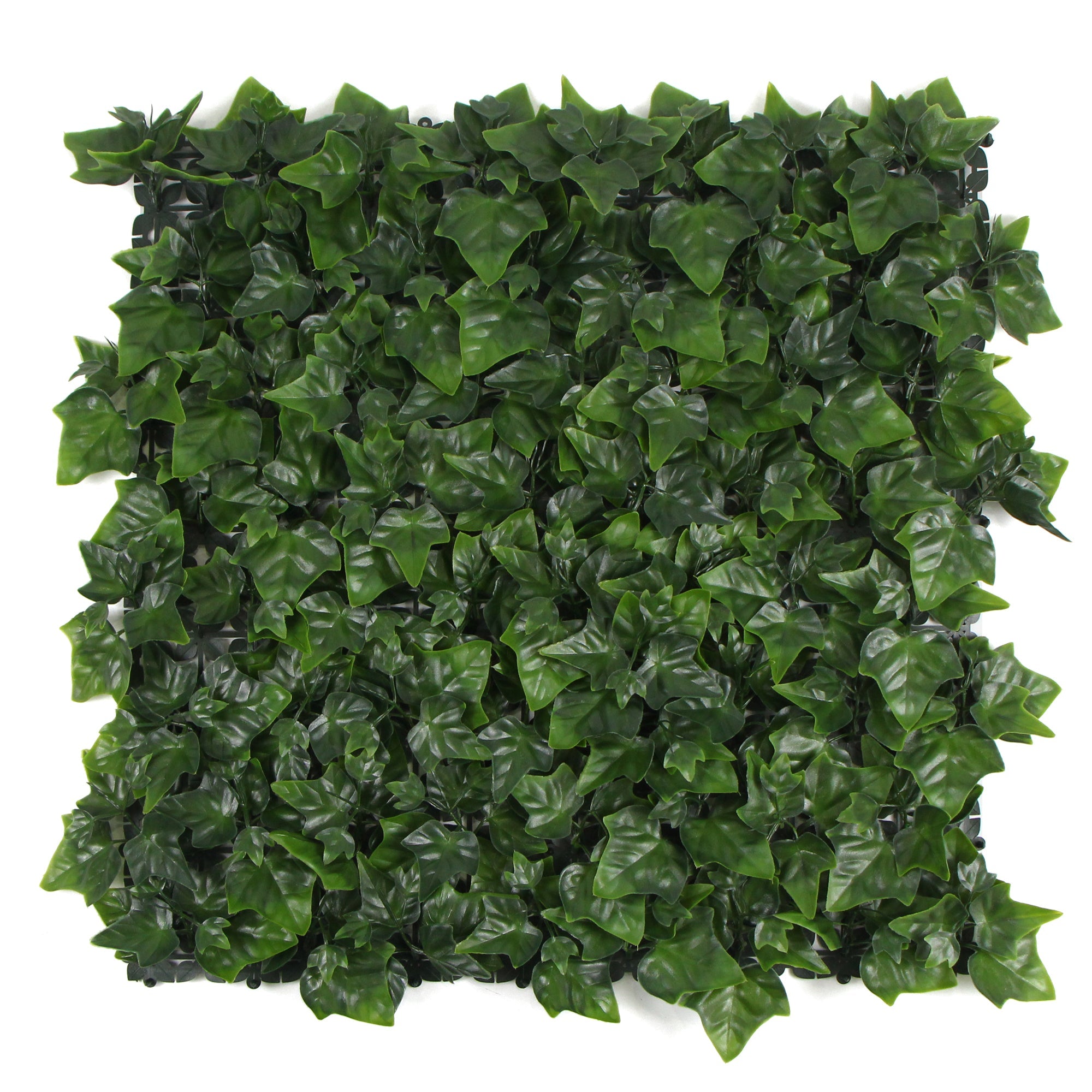 variegated-boston-ivy-leaf-screen-green-wall-panel-uv-resistant-1m-x-1m-solid-backing-651394.jpg